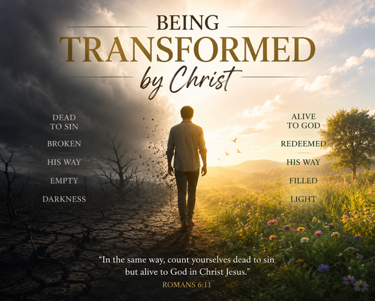 Transformed