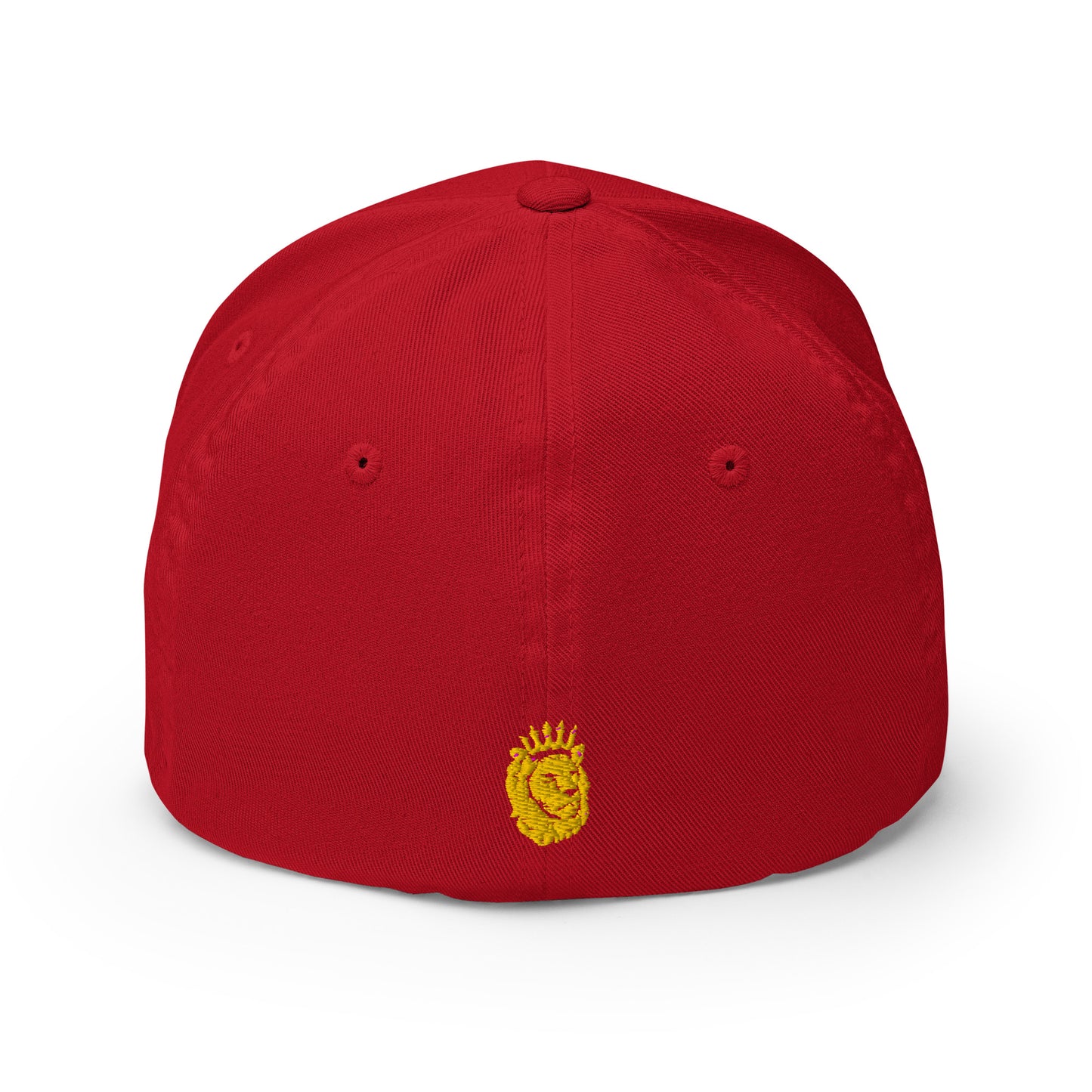 Fitted Stretch ARK Hat (Lion Back)